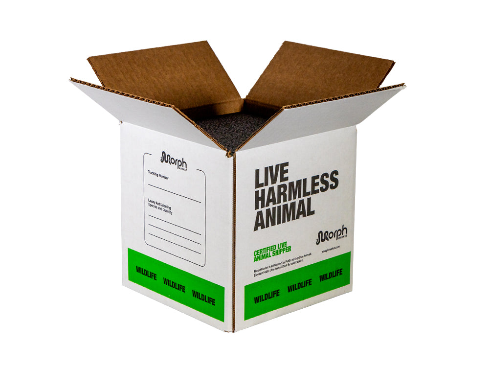 MM Branded Insulated Shipping Boxes FREE SHIPPING