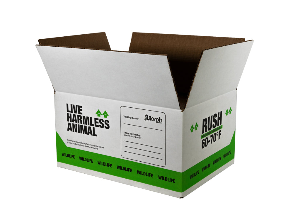 MM Branded Insulated Shipping Boxes FREE SHIPPING