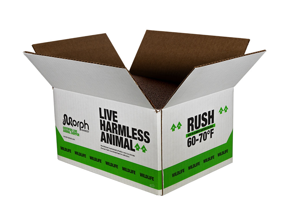 MM Branded Insulated Shipping Boxes FREE SHIPPING