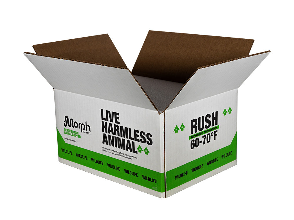 MM Branded Insulated Shipping Boxes – MM Shipping Supplies
