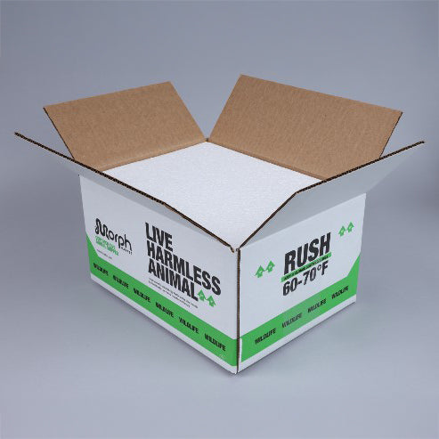 MM Branded Insulated Shipping Boxes