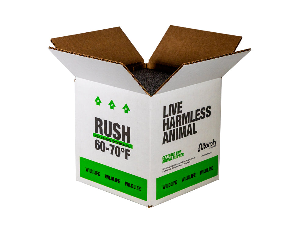 MM Branded Insulated Shipping Boxes FREE SHIPPING